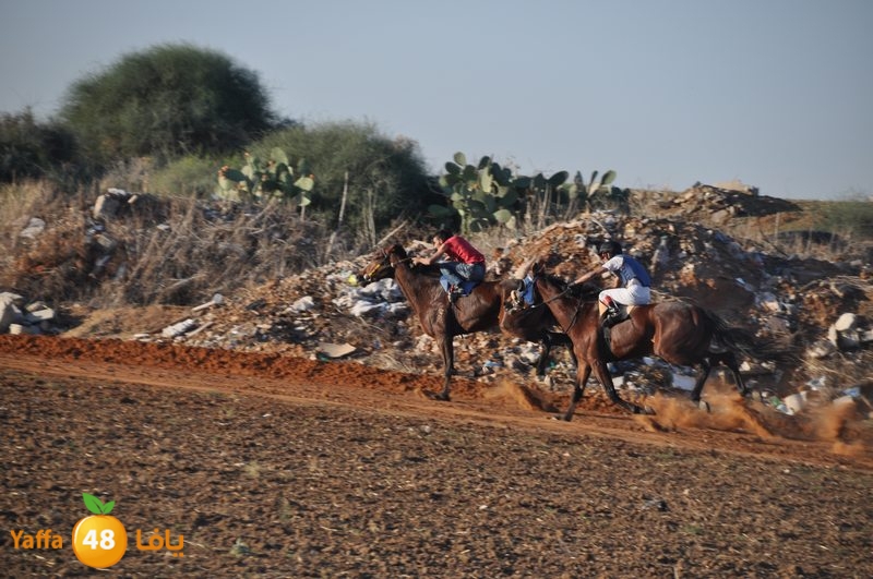 Khowoyouls ramala (13).JPG